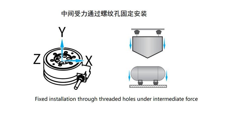 MLC5906W-100 force structure and assembly