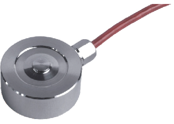 6381465884699021479339871