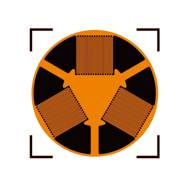 STRAIN-GAUGE-BF-CF